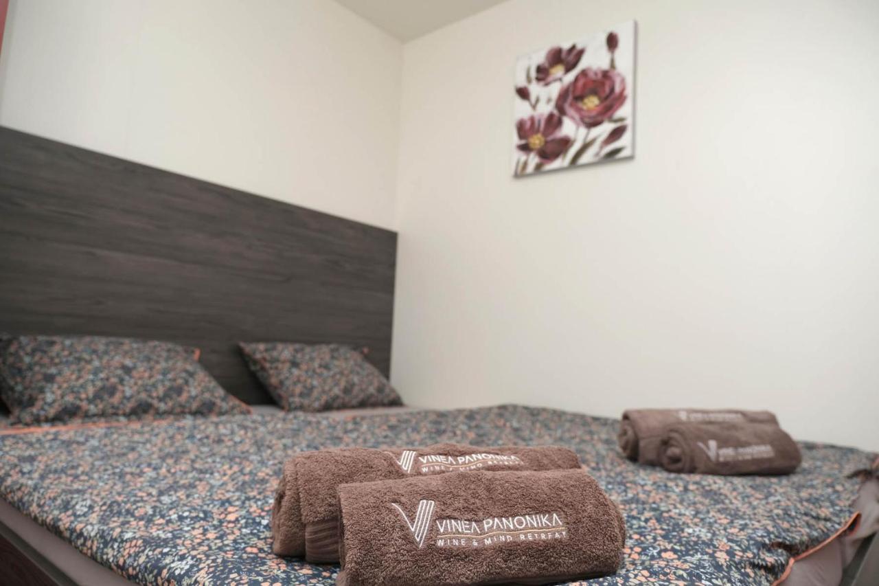 Vinea Panonika Wine & Mind Retreat Villa Radenci Kültér fotó