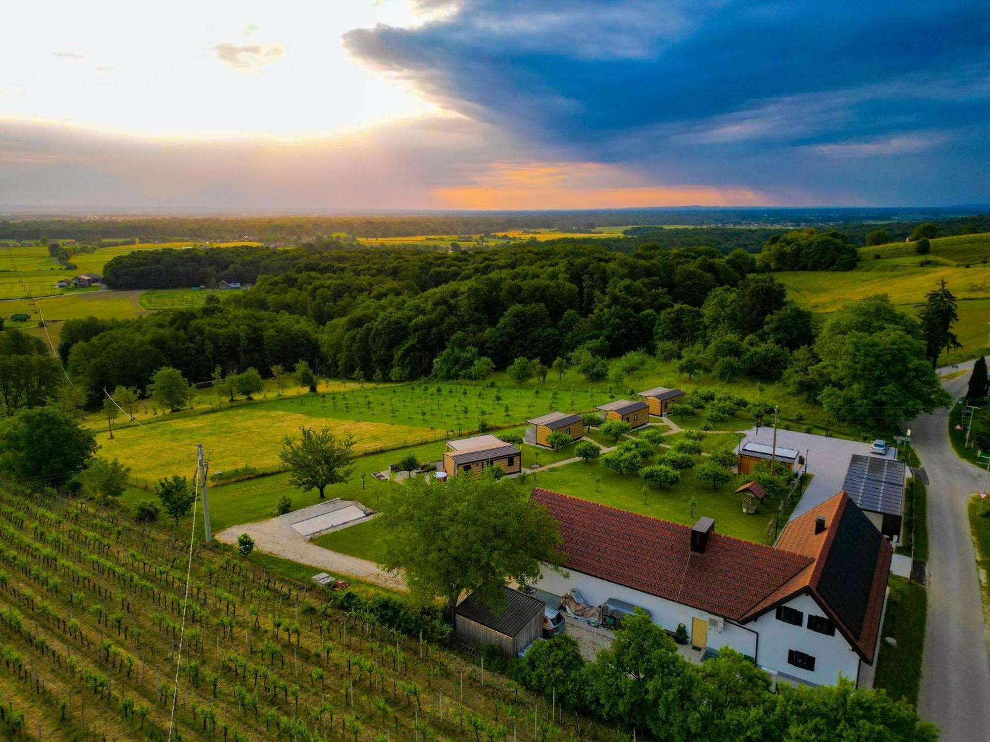 Vinea Panonika Wine & Mind Retreat Villa Radenci Kültér fotó
